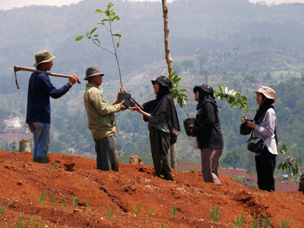 perbukitan