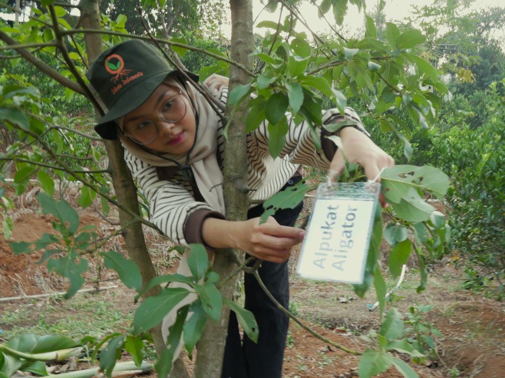 Belajar Komunikasi dari Pohon