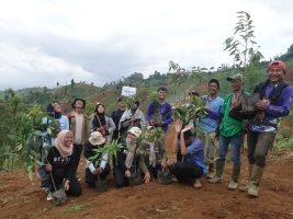 Alumni SMAK 1 BPK Penabur Bandung Aksi Tanam di Cikawari Cimenyan