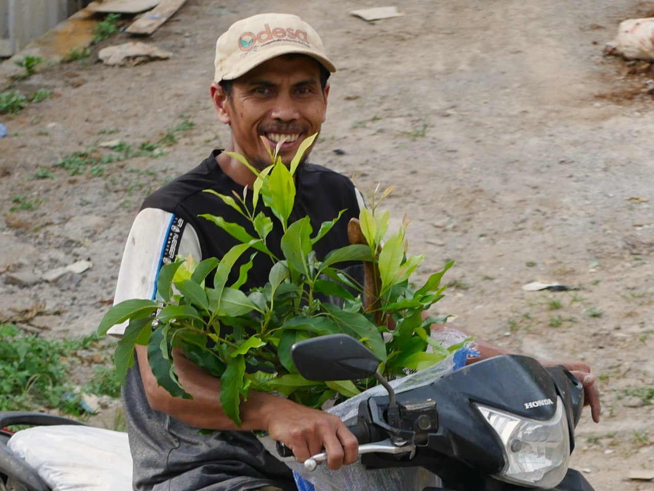 Petani desa menanam bibit buah