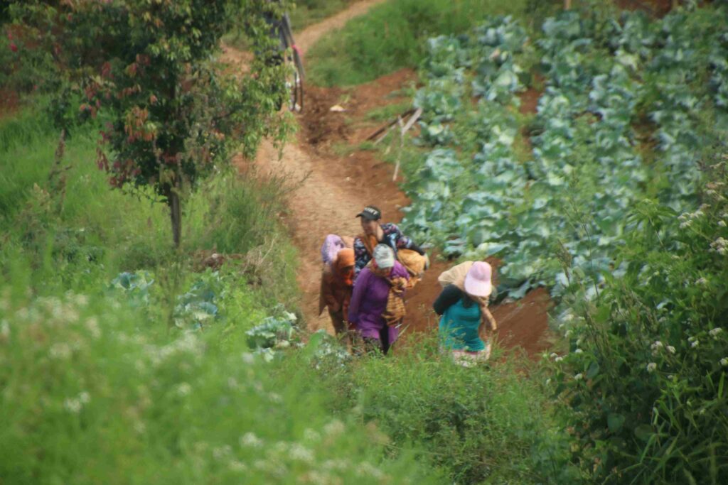 Kemiskinan petani desa