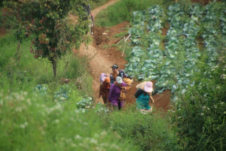 Kemiskinan petani desa
