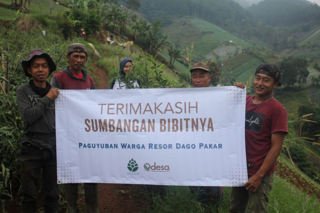 mari menanam pohon bersama petani di odesa