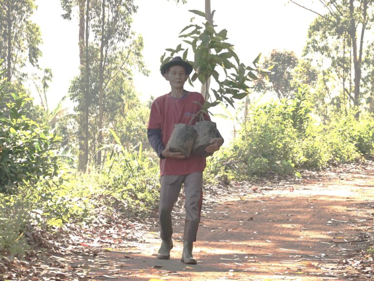 mari menanam pohon bersama petani di odesa