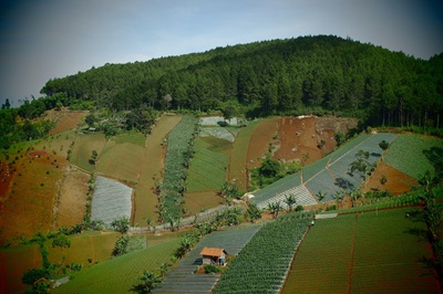 Penerapan Pertanian Agroekologi Odesa untuk Mewujudkan Transisi Hijau