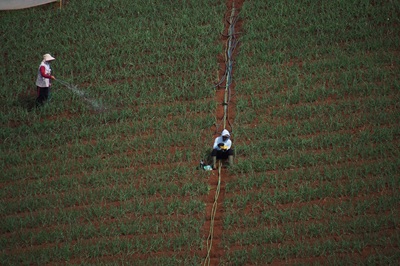 Program Odesa Indonesia untuk Mendukung Transisi Hijau