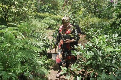 Taat Beragama Taat Menanam Pohon