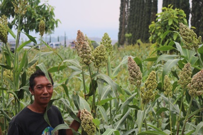 Kesehatan Hidup Manusia Ditentukan Oleh Kesehatan Hewan dan Lingkungan