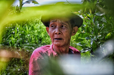 Kesehatan Manusia Bergantung Pada Kesehatan Hewan & Lingkungan