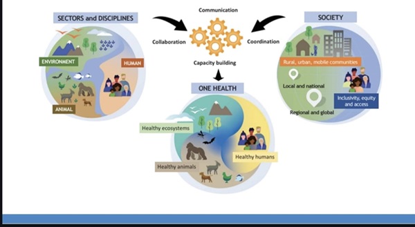 One Health Semua Terkoneksi, Semua Penting