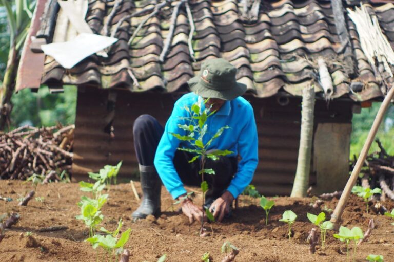 Menanam Pohon Buah Sebagai Penanganan Kemiskinan